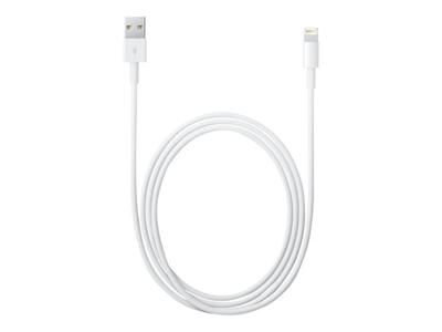 Apple Lightning to USB-A Cable, 0.5m