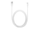 Apple Lightning to USB-A Cable, 0.5m