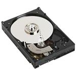 DELL HDD 500GB 7.2K RPM SATA 3Gbps 3.5in Cabled ( Pro T130, R230)