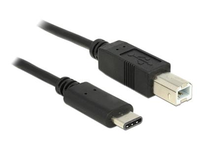 Delock kabel USB Typ-C™ 2.0 samec > USB 2.0 typ B samec 1 m černý