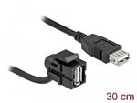 Delock Keystone modul USB 2.0 A samice 110° > USB 2.0 A samice s kabelem černá