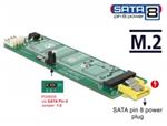 Delock Konvertor SATA pin 8 napájecí samice > slot M.2 Key B