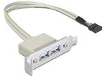 Delock Slot bracket USB 2.0 low profile 2 port