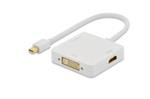 Ednet DisplayPort splitter cable, miniDP - DP+HDMI+DVI, M/F, 0.2m, DP 1.1a compatible, UL, CE, wh, gold