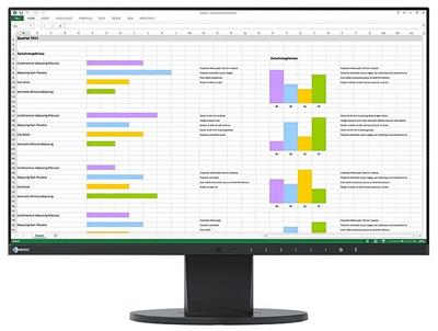 EIZO 24" EV2450-BK,1920×1080,IPS,DP,HDMI,DVI,Dsub,pivot,repro,černý