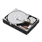 HD Lenovo 500GB 7200 rpm Serial ATA Hard Drive