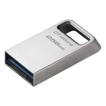 Kingston DT Micro USB Flash Disk 256GB,200MB/s,kov,USB 3.2 Gen1