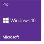 MS OEM Windows 10 Pro GGK x64 CZ 1pk Legalization DVD