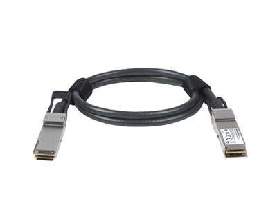 Netgear 3M QSFP28 100G DAC CABLE PASSIVE