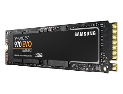 Samsung 970 EVO PLUS 250GB