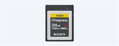 Sony CEBG256 - Paměťová karta řady CEB-G 256GB