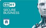 update na 1 rok ESET Secure Business  (11-24) instalace