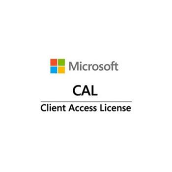 Win Server CAL 2022 (1 User)